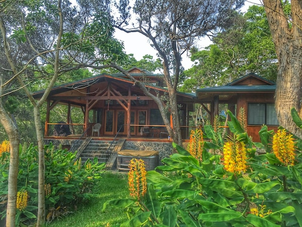 Kahili Ginger, native Ohia & Koa trees adorn the front yard of Hale KaLehua