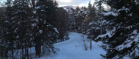 View of Mount Snow from Living room.