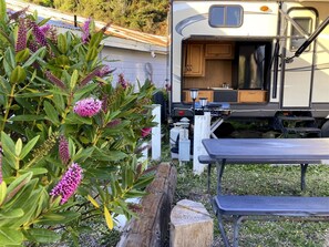 The Poop Deck - Fire pit and outdoor kitchen area