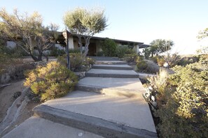 Front steps to house