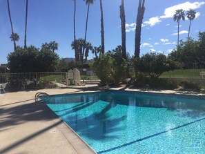 Pool and Hot tub facing South