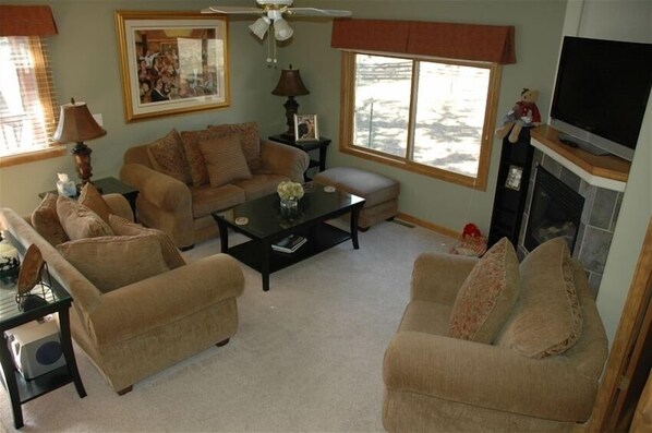 Living area, downstairs.
