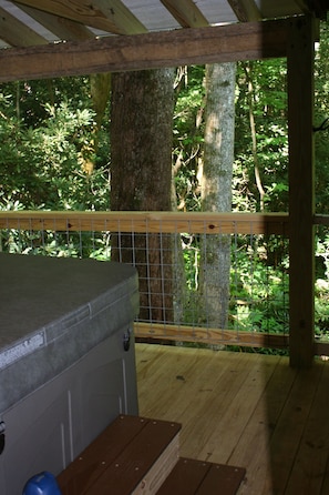 View into the woodland from the hot tub.