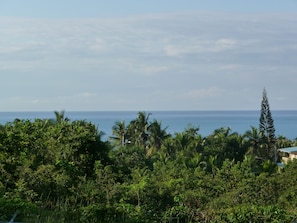 View from the Master Bedroom