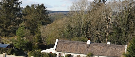 Historic Thatched Long Cottage in the valley of the Ox Mountains.. Hot tub 
