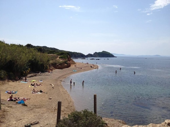Strand