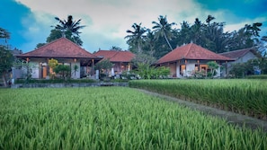 View of Villa from the rice fields