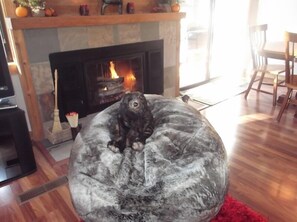 Bear and Beanbag do not go home with you, but will keep you company while there!