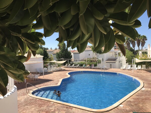 Beautiful salted water pool