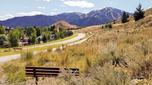 View of Baldy