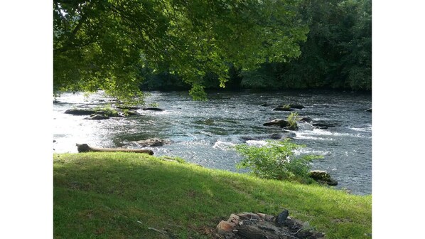 In the backyard by the river!