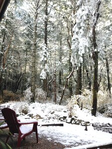 LUXURY FRENCH COTTAGE SURROUNDED BY NATURE, FOREST BATHING ANYONE?