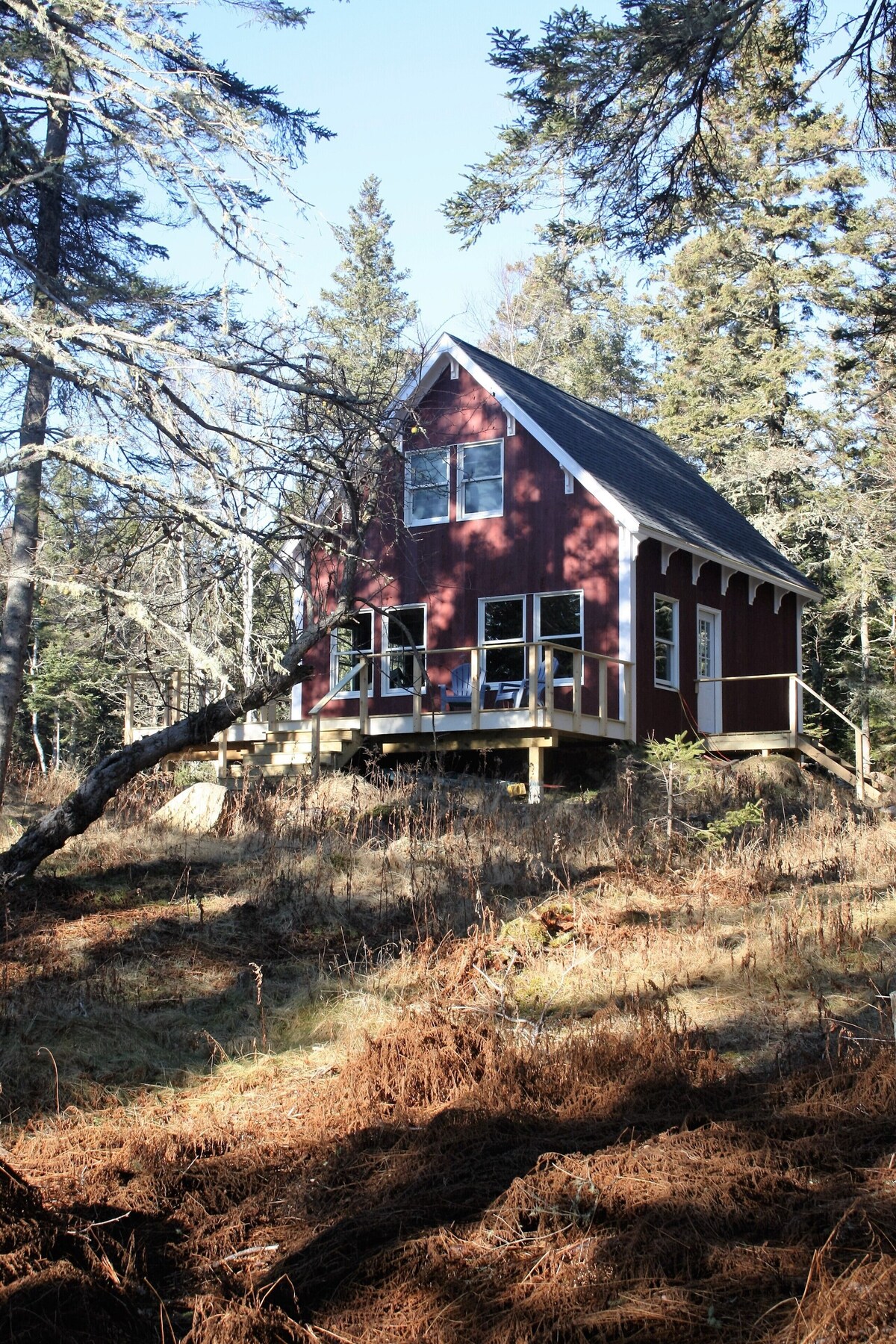 Main Image