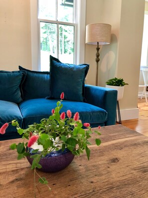 Family Room with Velvet Couch