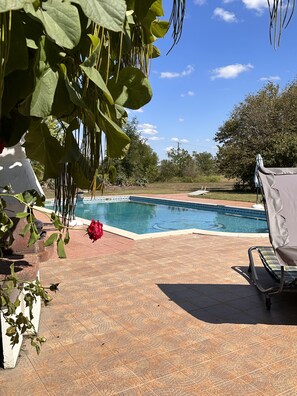 Large Pool with diving board and tiled surround