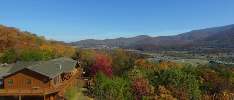 Beautiful Fall Colors!