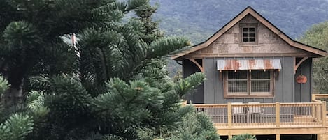 Hand crafted cabin built in a Christmas Tree Farm!