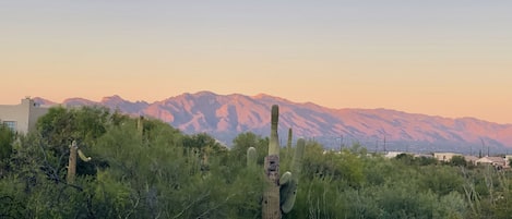 the mountains are ever changing