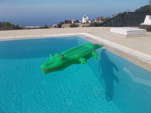 Villa DeloMoore overflow pool, Sea View