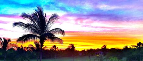 Sunset From Patio