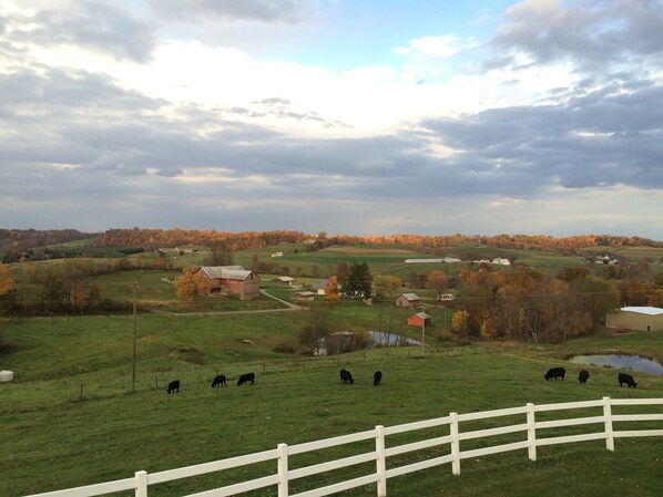 This is our view from the deck.