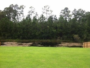 View of Conservation Area from Lanai