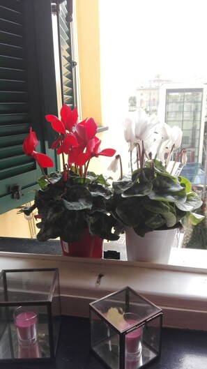 Interior detail