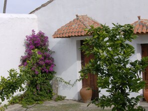 Patio con limoneros del turismo rural.