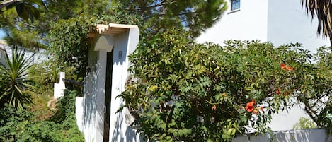 Una de las entradas a la casa-One of the entrances to the house