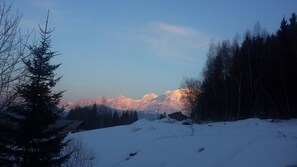 Vue sur le Mont Blanc 