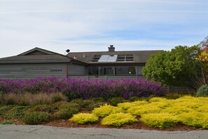 The whole bodega neighborhood features an abundance of native plants.