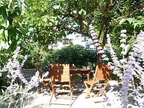 lounge garden cover by the kaki tree in summer