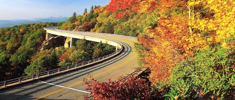 Linn Cove Viaduct on the Blue Ridge Parkway