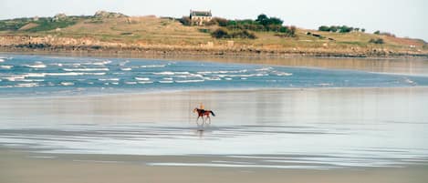 Spiaggia