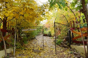 Thru the garden gate
