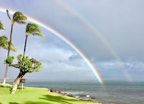 The most amazing rainbows are on Maui.