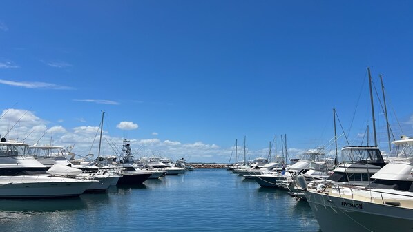 Marina