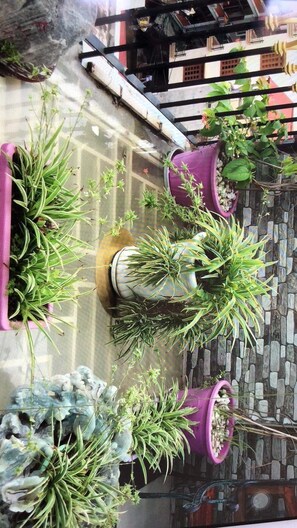 Interior detail