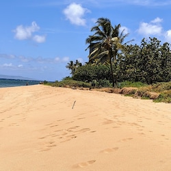 Miles of Beautiful Maui Beach