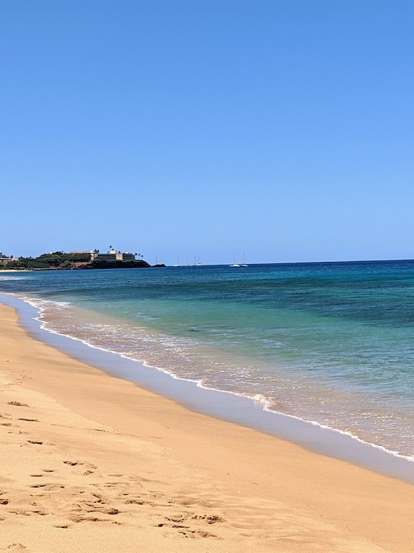 Premier beach front property on this long stretch of dreamy coastline