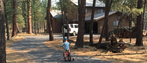 Long private driveway leading to the house with basketball hoop