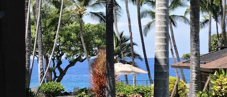 View from our Lanai. Yes,the water is that blue.