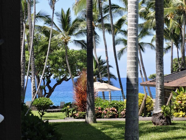 View from our Lanai. Yes,the water is that blue.