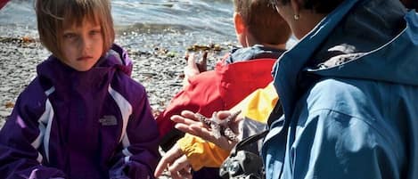 Juneau beach combing