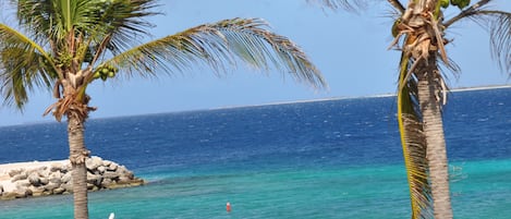 Feel the warm sunshine.   Another great day in Bonaire!