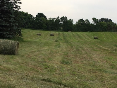 Peaceful Setting in 1919 Farmhouse Surrounded by Nature.  