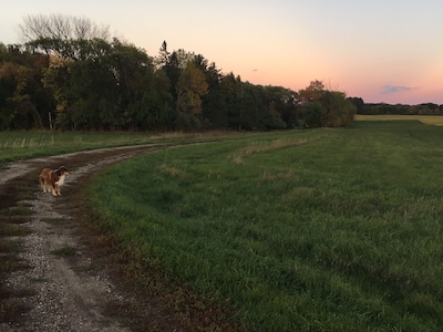 Peaceful Setting in 1919 Farmhouse Surrounded by Nature.  