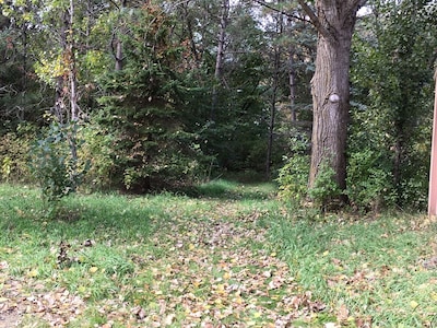 Peaceful Setting in 1919 Farmhouse Surrounded by Nature.  