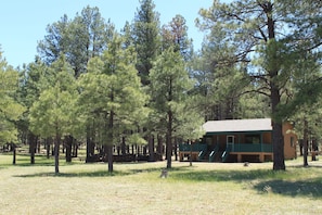 Front yard