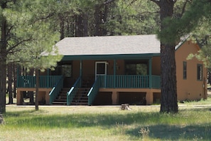 Front yard